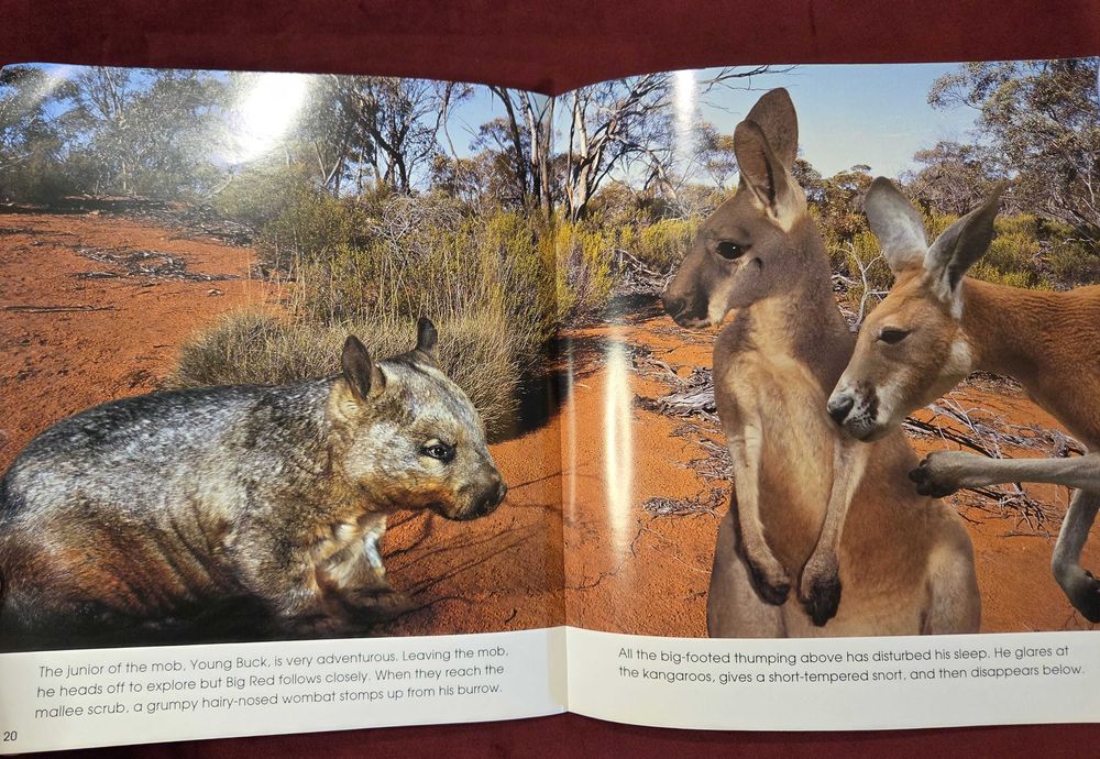 Кенгуруто. Фото-разказ / Living With the Mob