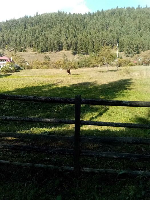 Teren intravilan in Toplita 5002mp pe str. Padureni + extravilan 1100mp (padure)