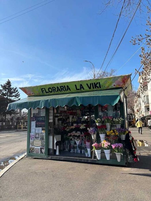 Florarie zona Piata Domenii