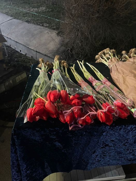 Тюльпаны Голландские