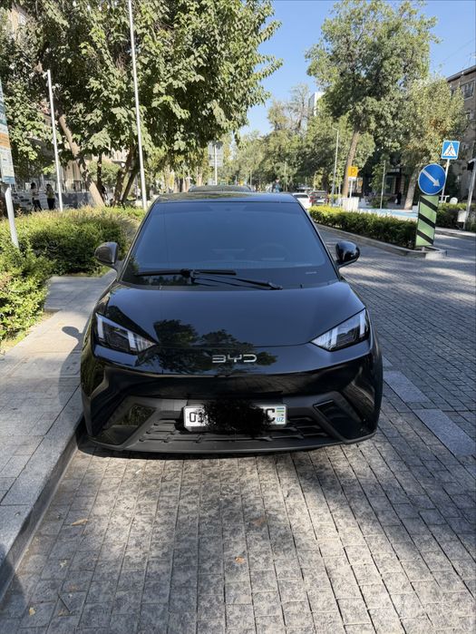 Byd Seagull 2025 yil