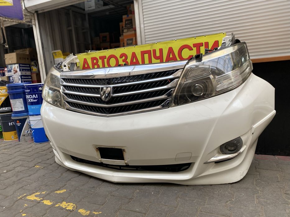 Ноускат Альфард