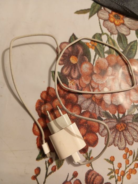 Зариядка оргинал