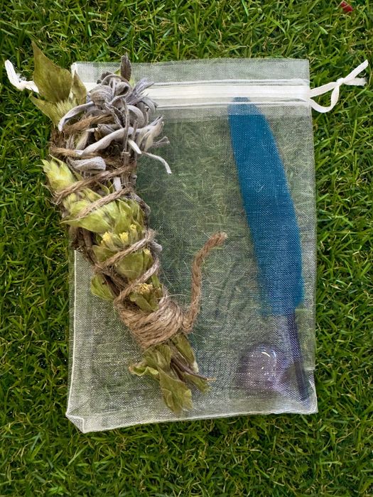 Комплект Лъвска грива (Hericium erinaceus)