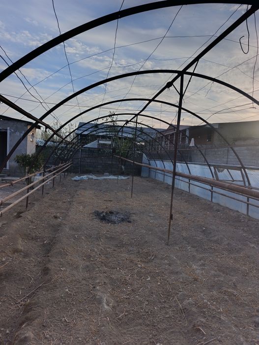 Теплица 6*20 отапленя катёл у́тин ку́мирга му́лжаланган нархи 1200$