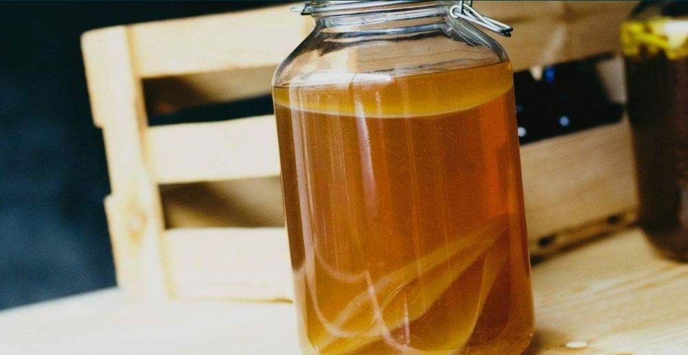 Чайный гриб, комбуча