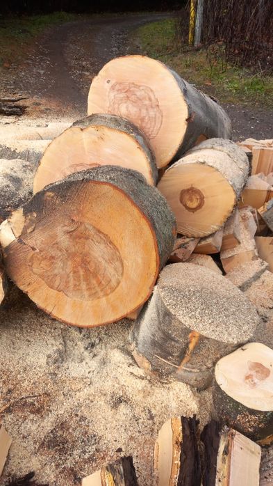 Vând Lemne de foc fag crepatura detali și comenzi la tel.