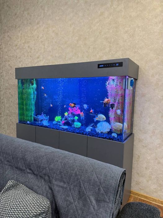 Akvarium yasimiza zakasga