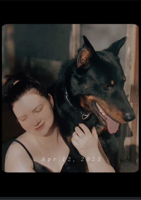 Кинолог, зоопсихолог