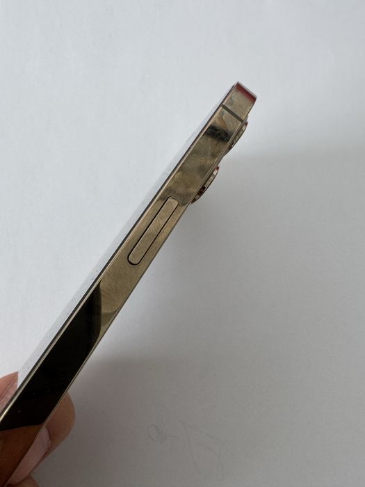 iPhone 12 PRO MAX 256/100% батарея