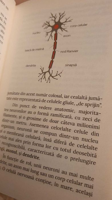 Leon Danaila-Neuroplasticitatea creierului