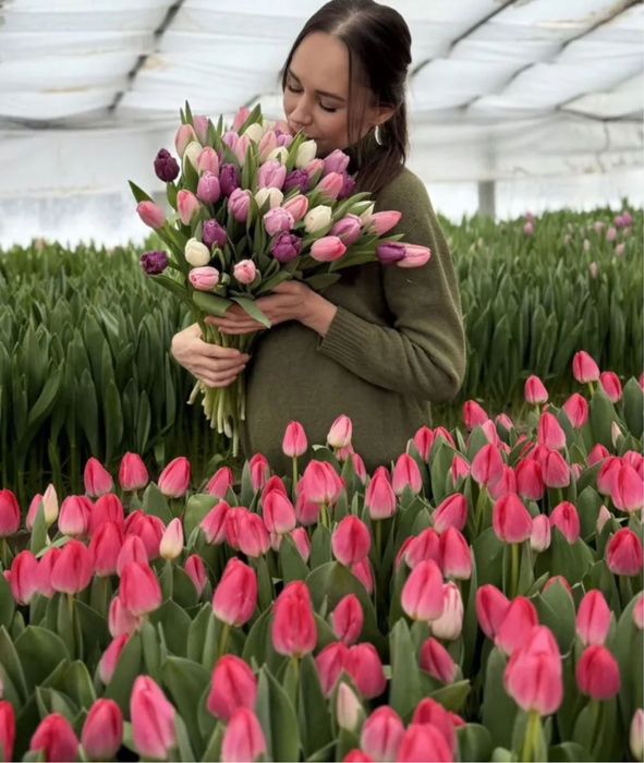 Гул, Гулдер, Кызгалдак