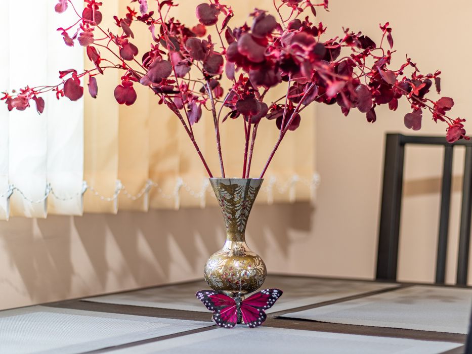 Нощувки в Монтана