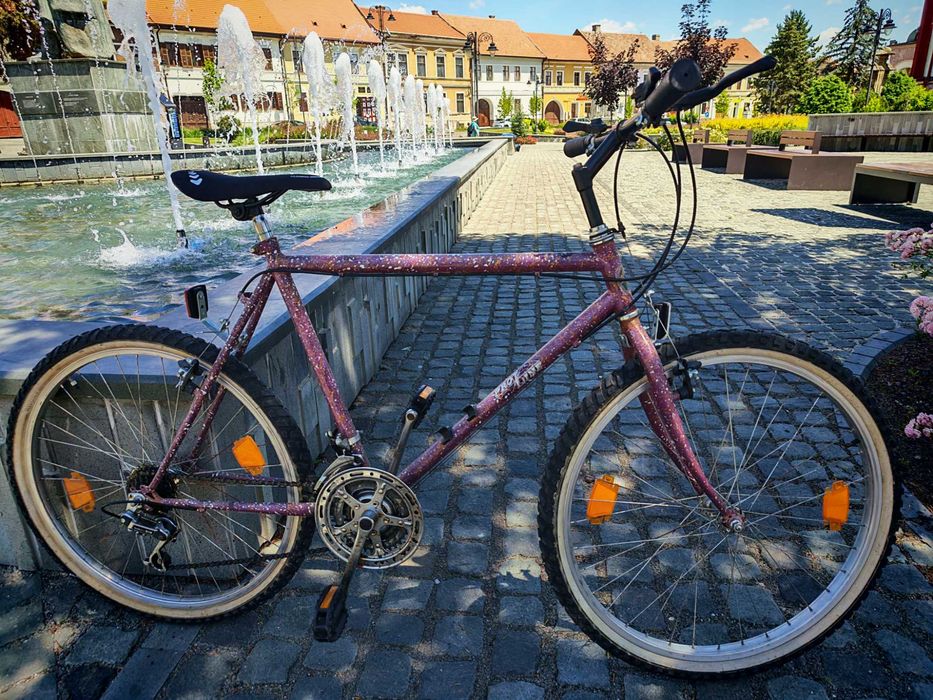 Bicicleta Mtb retro vintage pro line