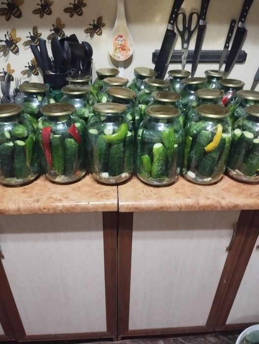 Продам солёные огурцы!