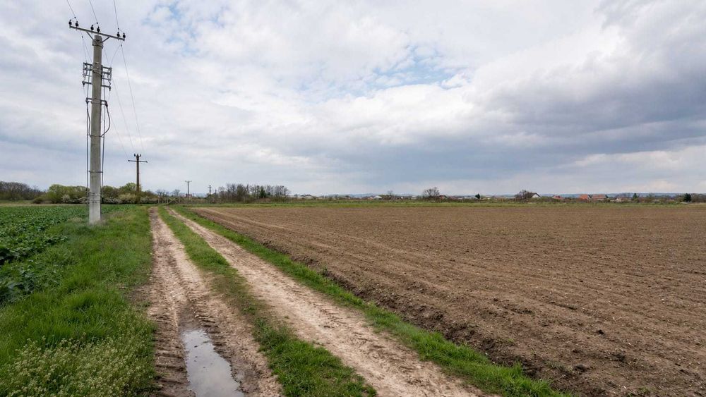 Teren intravilan 5663 mp în Oșorhei – aproape de Oradea, ideal investiție / parcelare
