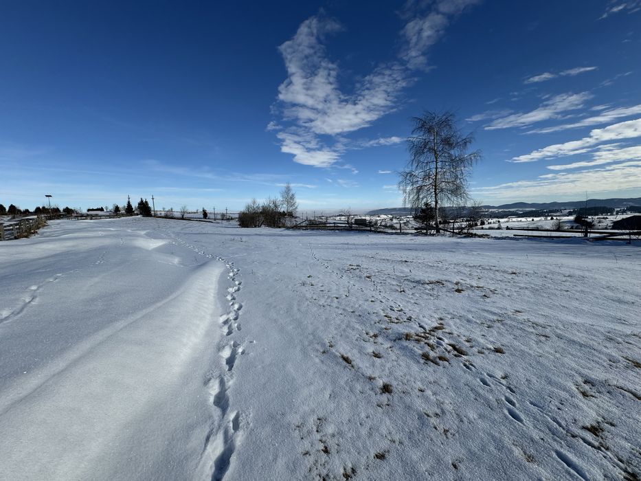 Teren De Vanzare Marisel
