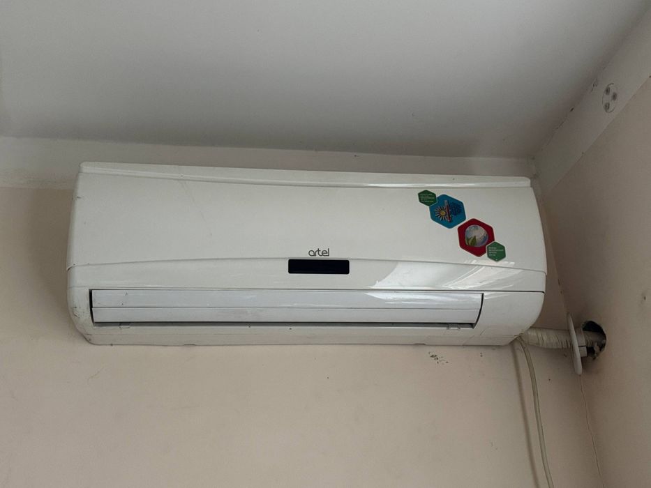 Artel 12 talik kandisaner