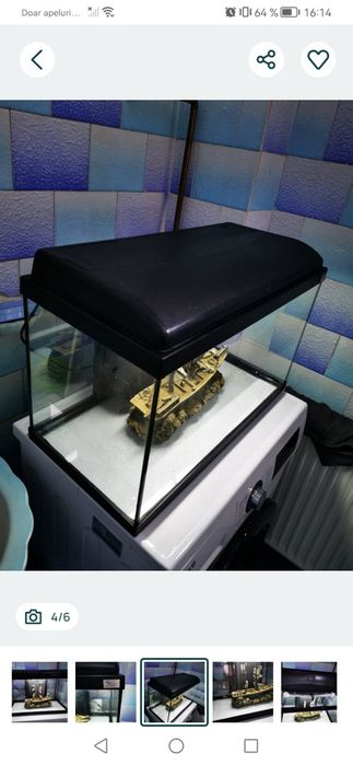 Vând acvariu 60x30x30 complet echipat