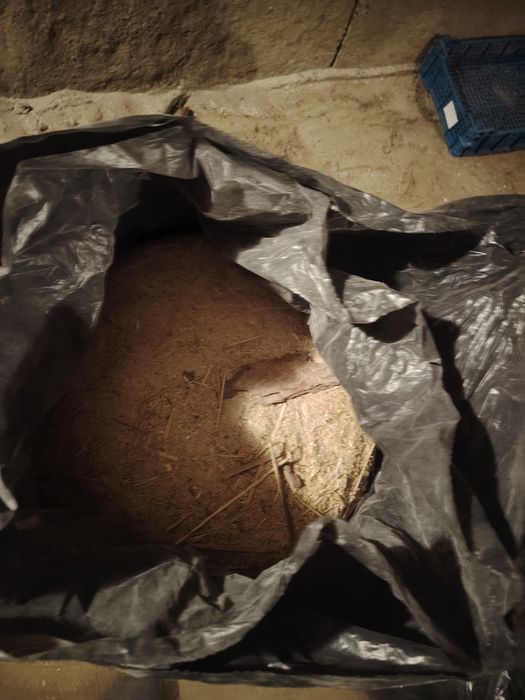 Продам опилки сосновые