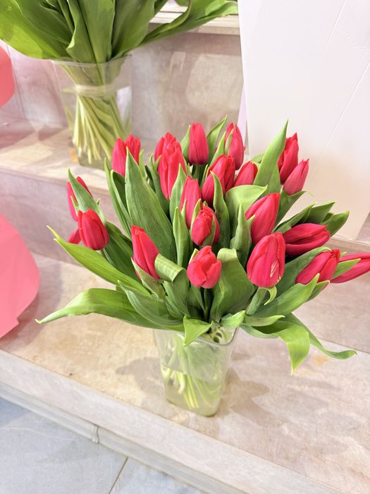 Қызғалдақ, Тюльпан