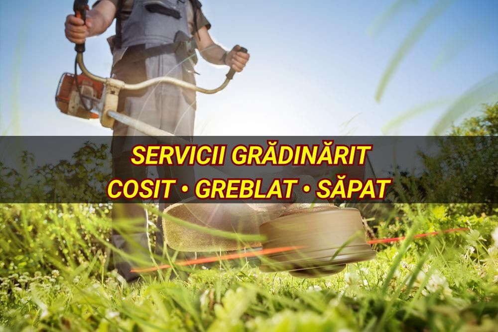 Servicii Grădinărit: Tuns Iarbă, Greblat, Săpat - Vin cu sculele