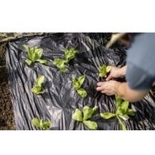 Folie Mulcire 0.9x1500m=374lei; 1x1000m=300 lei/rola, Aditivata UV