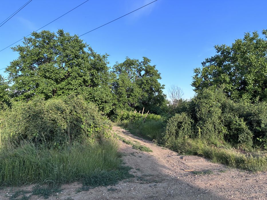 Teren intravilan 500 mp de vânzare – Strada Apusului, Popești-Leordeni - Vedere 2