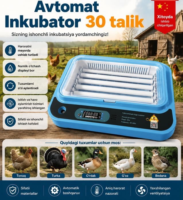 Inkubator Avtomat 30 talik