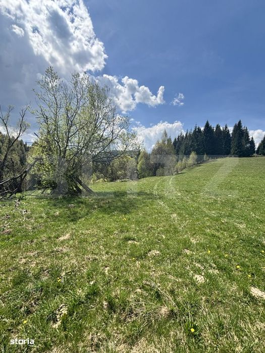 Teren in Vatra Dornei, str Rosu, 8450 mp, extravilan + intravilan