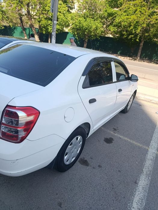 Cobalt mexanika  yili 2019