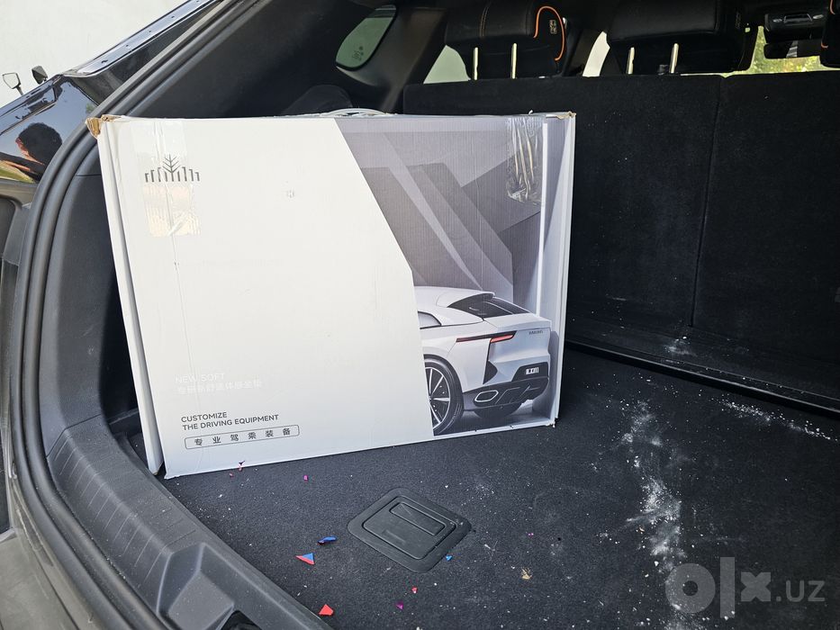 Byd chempion Song plus ga original alikantara sidena chihol