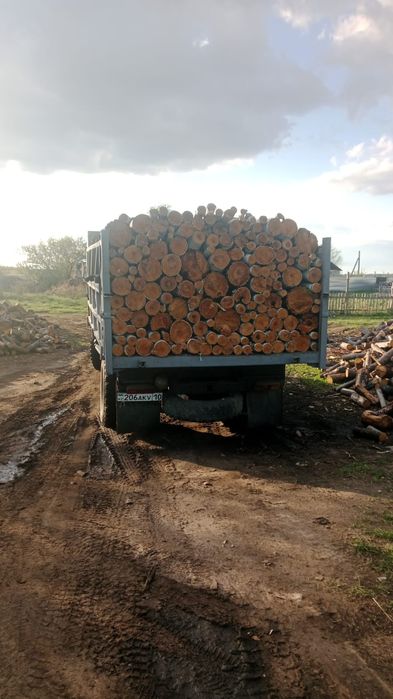 Продам дрова сухие доставка