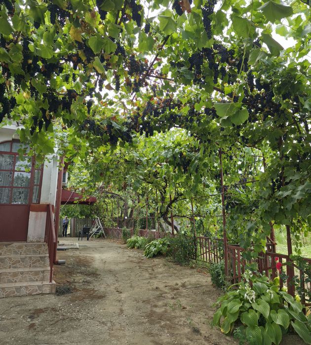 Vand casa in comuna Scaiesti ,Dolj