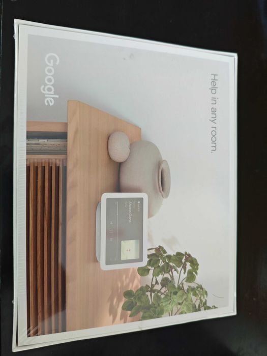 Google Nest Hub 2 / Hub 1