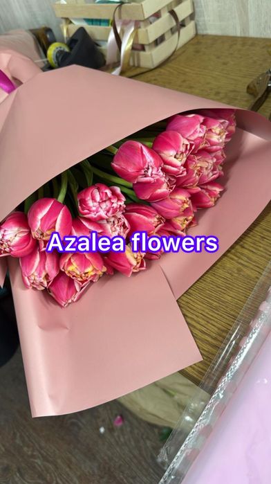 Тюльпаны опт розница цветы розы