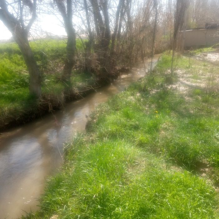 Bosh uchastka 8 sotx