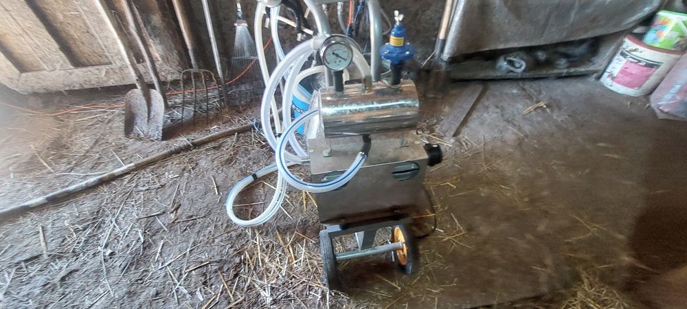 Vând vaca bălțata românească și aparat de muls