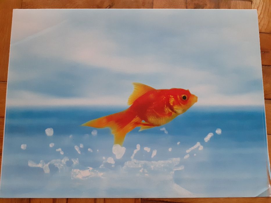 Защитен стикер за лаптоп