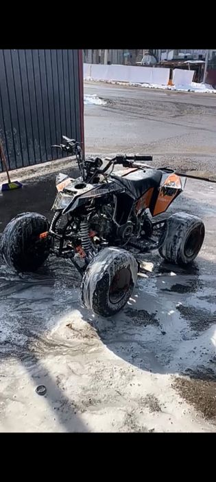 Обмен на лошадь тай кунан