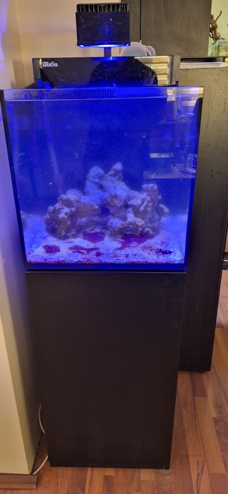 Acvariu marin Red Sea nano