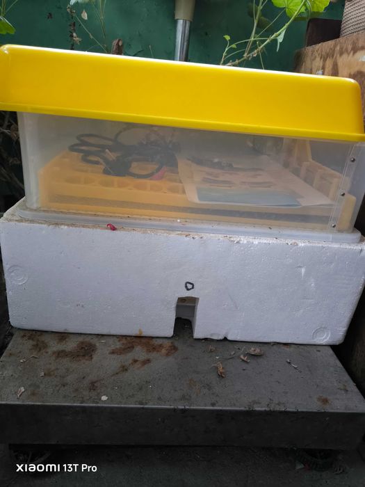 Люпилня за 112 яйца+UPS