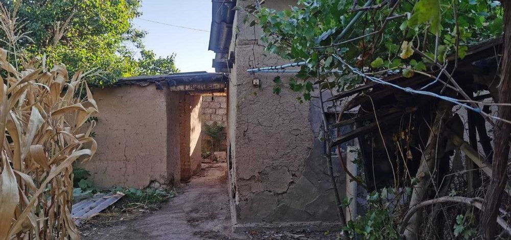 Yosh anal jinsiy aloqa