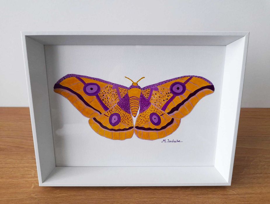 Fluturi pictați manual – acuarelă pe hârtie