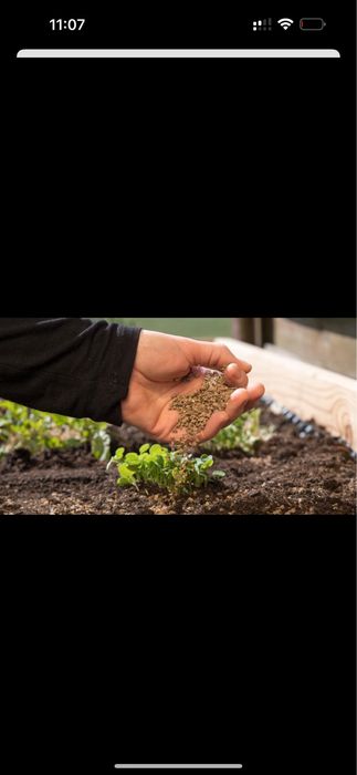 Костная мука удобрения