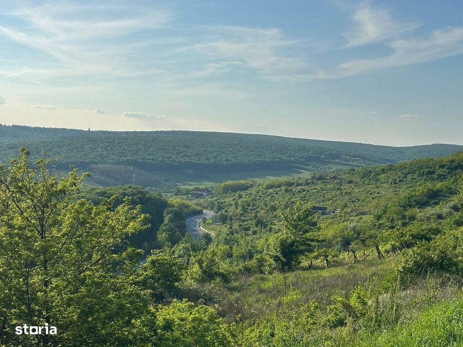 Teren de vânzare, total 15200 mp sau parcele individuale mai mici