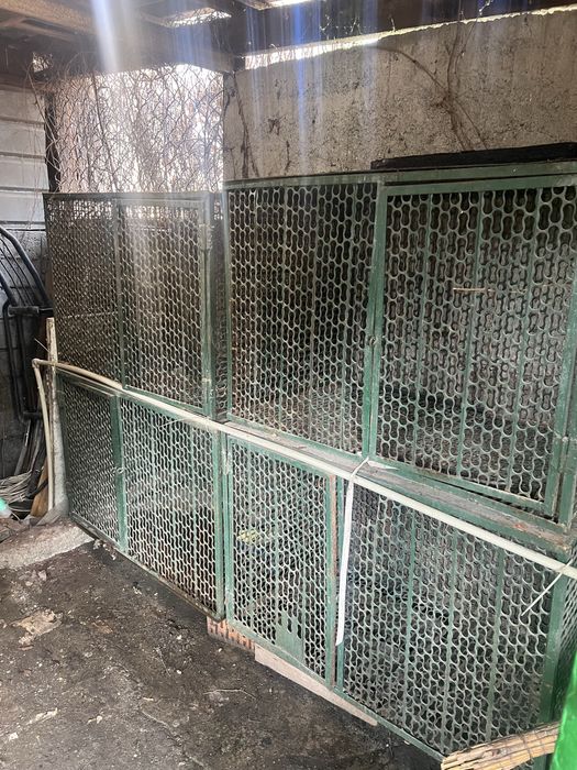 Клетки для кроликов