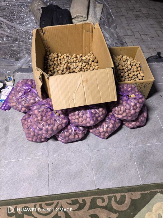 Продаю грецкие орехи
