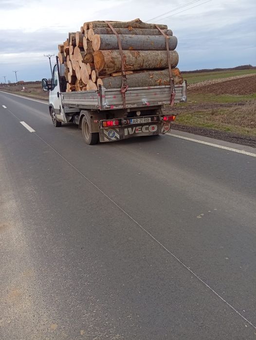 Lemne de foc esență tare fag