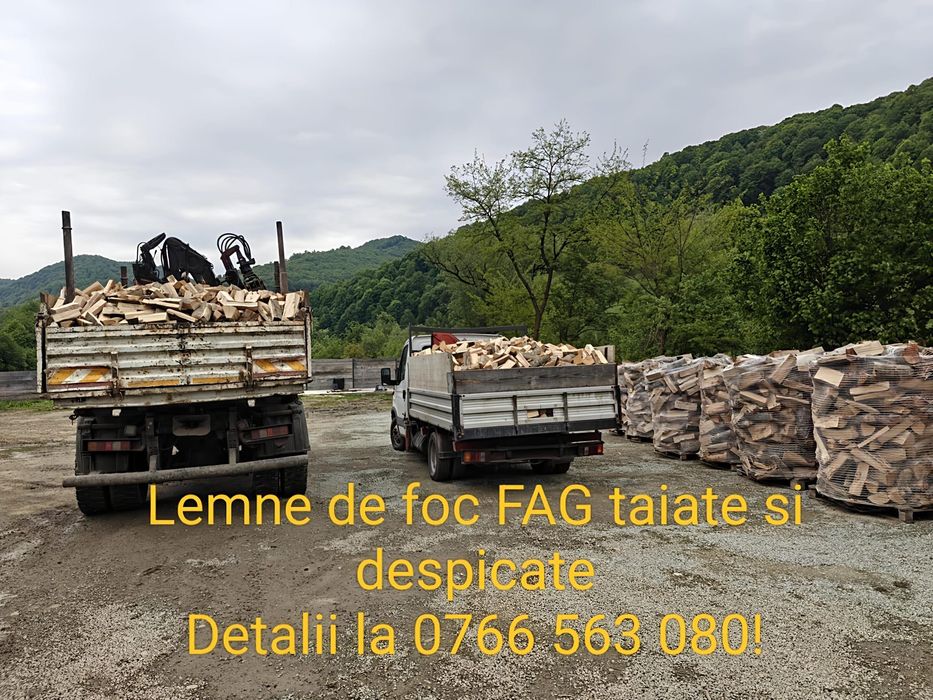 Lemne de foc FAG(taiate si despicate, in lung sau la palet)
